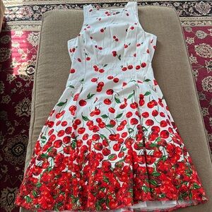 Maggy London Lined Sleeveless Cherries Design Dress Size 5 (TD)